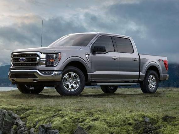 FORD F-150 2023 1FTEW1C81PKD44219 image