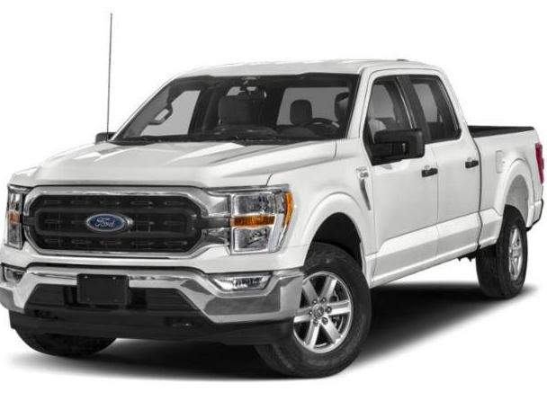 FORD F-150 2023 1FTEW1EP7PKD88293 image