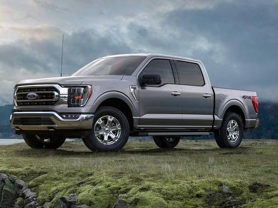 FORD F-150 2023 1FTEW1C88PKE14220 image