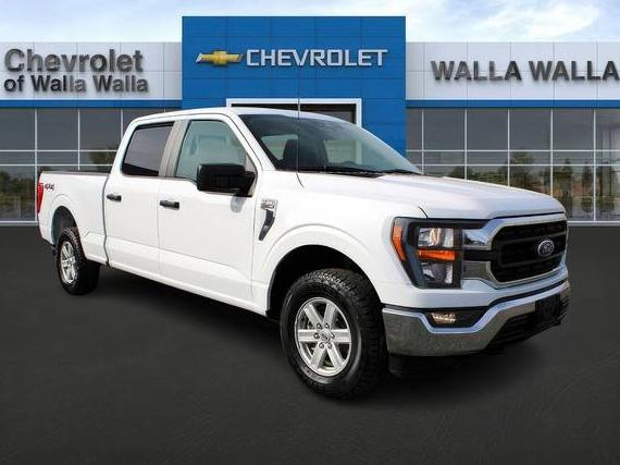 FORD F-150 2023 1FTFW1E8XPKE40884 image