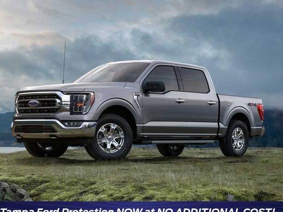 FORD F-150 2023 1FTEW1EP2PFB92920 image