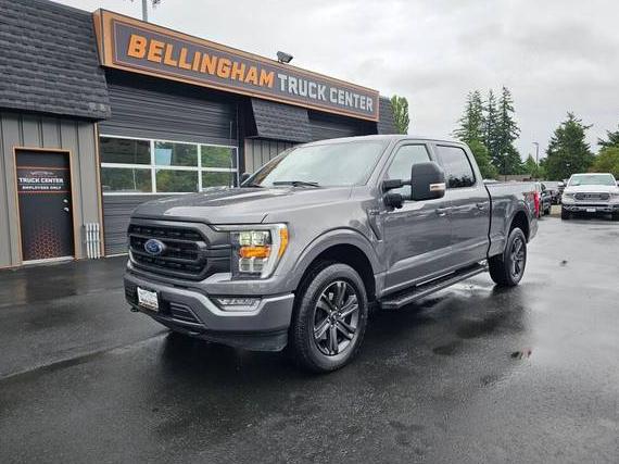 FORD F-150 2023 1FTFW1E80PKE77877 image