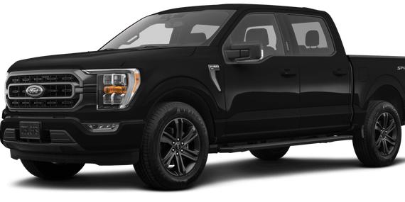 FORD F-150 2023 1FTEW1CP1PKD33552 image