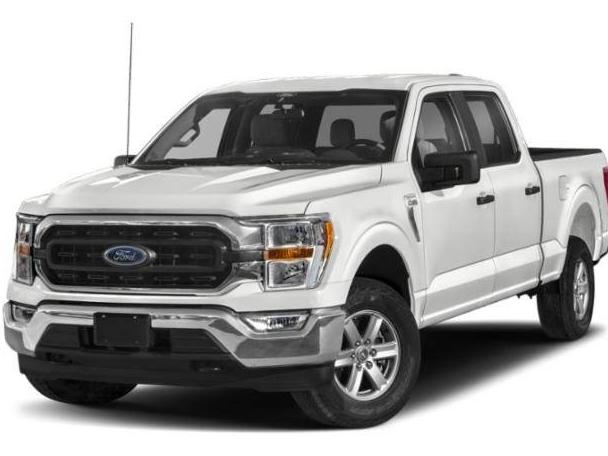 FORD F-150 2023 1FTEW1C50PFA89058 image