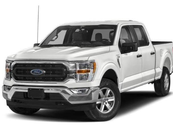 FORD F-150 2023 1FTEW1C89PKE58310 image