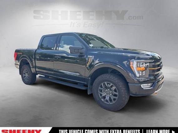 FORD F-150 2023 1FTEW1E84PFA96229 image