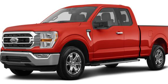 FORD F-150 2023 1FTEX1EP7PKD80031 image