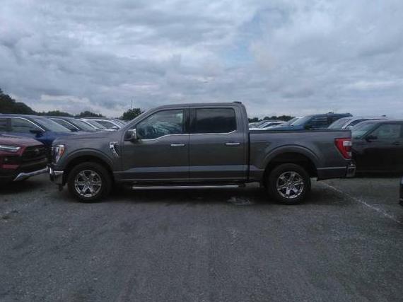 FORD F-150 2023 1FTEW1C56PKD59854 image