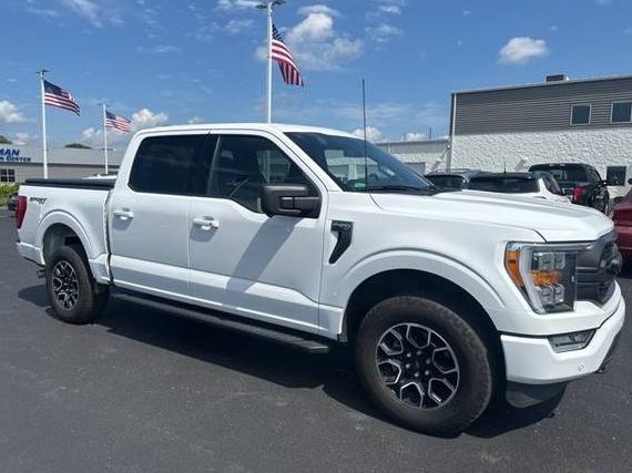 FORD F-150 2023 1FTFW1E50PFA26785 image