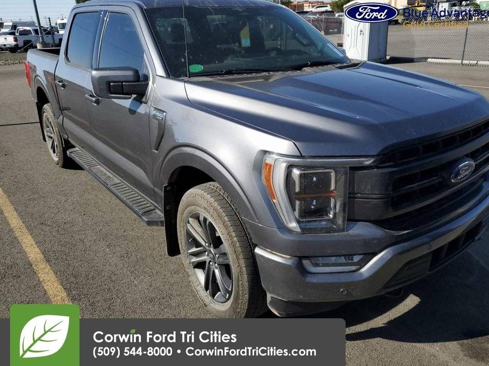 FORD F-150 2023 1FTEW1EP5PFA11082 image