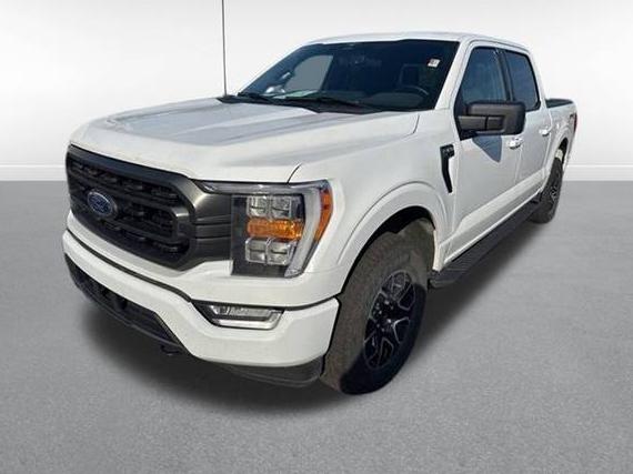 FORD F-150 2023 1FTEW1EP8PKE32544 image