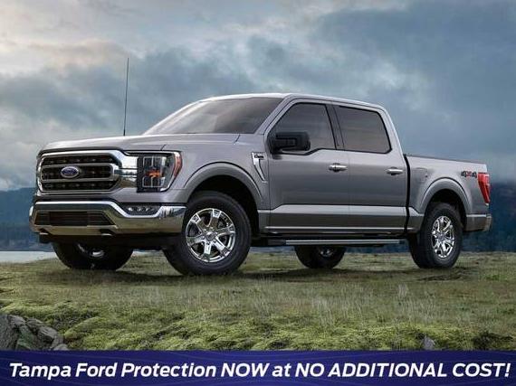 FORD F-150 2023 1FTEW1EP1PFA91495 image