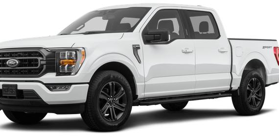 FORD F-150 2023 1FTEW1C89PKD62273 image