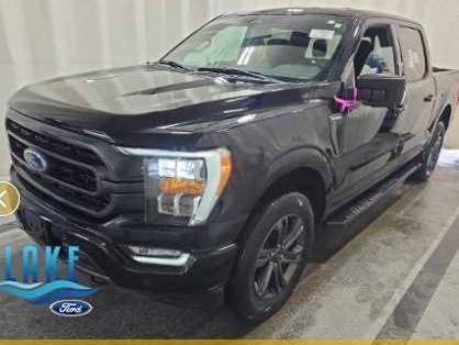 FORD F-150 2023 1FTEW1EP1PFA15209 image