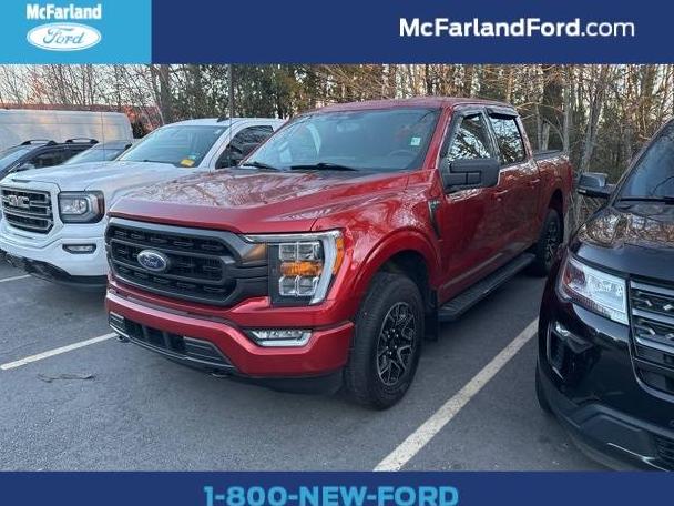 FORD F-150 2023 1FTEW1EP2PKD75810 image