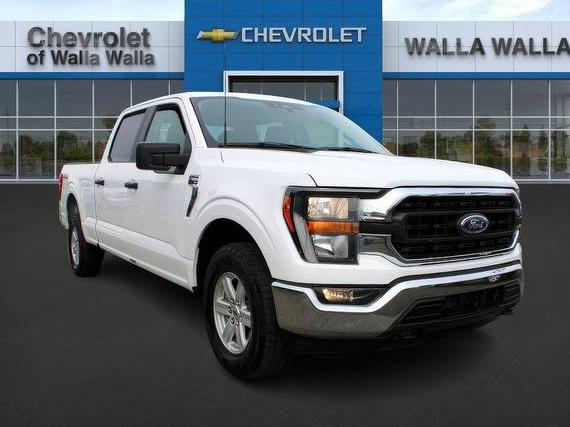 FORD F-150 2023 1FTFW1E86PFB09566 image
