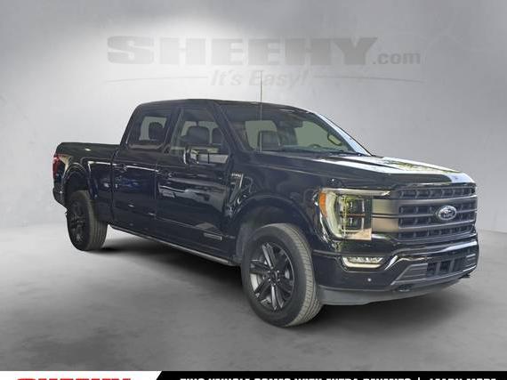 FORD F-150 2023 1FTFW1ED3PFB98543 image