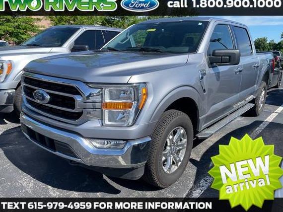 FORD F-150 2023 1FTEW1EP4PFB56999 image