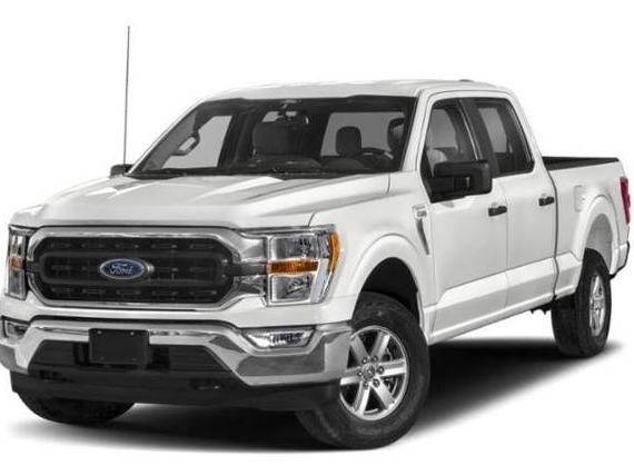 FORD F-150 2023 1FTEW1C88PFB46231 image