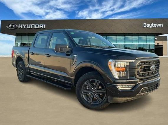 FORD F-150 2023 1FTEW1C56PFC27945 image