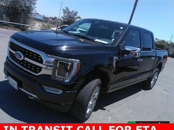 FORD F-150 2023 1FTFW1E87PFB46402 image