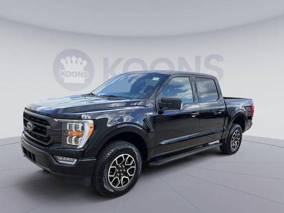 FORD F-150 2023 1FTEW1EP3PFA20962 image