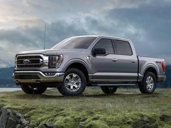 FORD F-150 2023 1FTEW1C81PKE14253 image