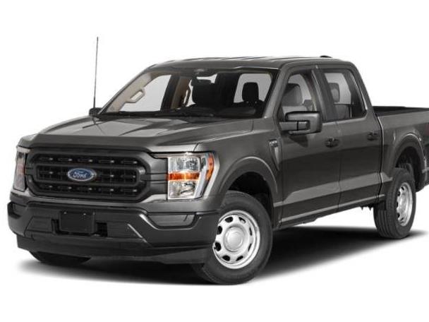 FORD F-150 2023 1FTEW1C89PKD75556 image