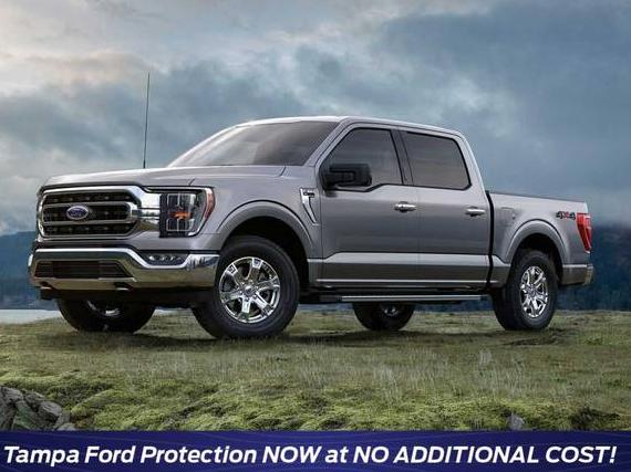 FORD F-150 2023 1FTEW1EP3PKD96097 image
