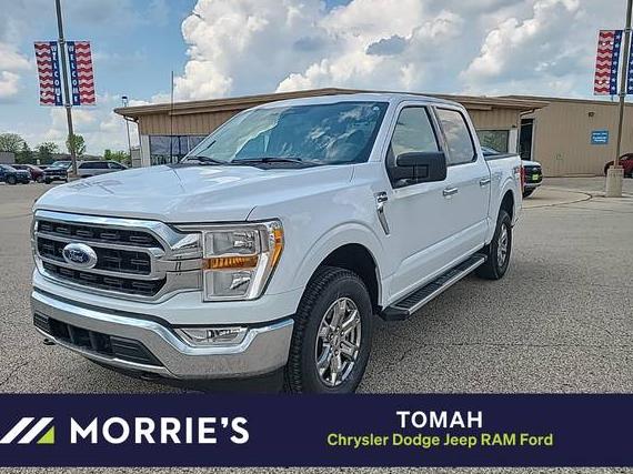 FORD F-150 2023 1FTFW1E85PKE23734 image