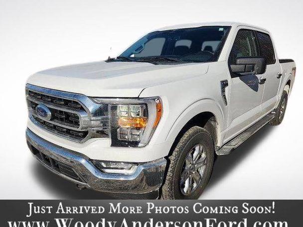 FORD F-150 2023 1FTEW1EP7PKD88231 image