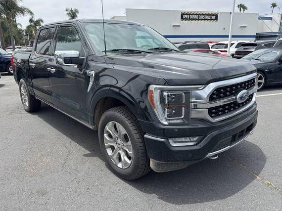 FORD F-150 2023 1FTFW1E85PFA84580 image