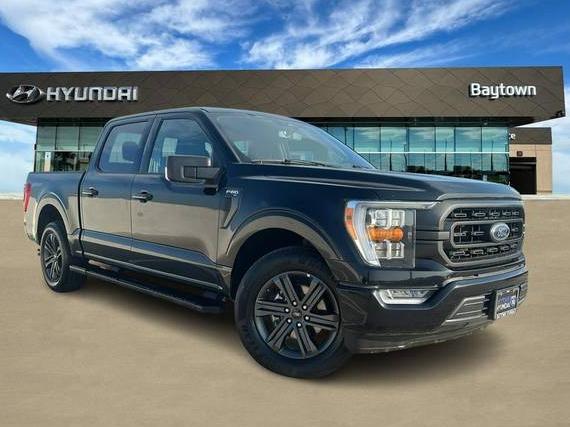 FORD F-150 2023 1FTEW1C56PFC47869 image