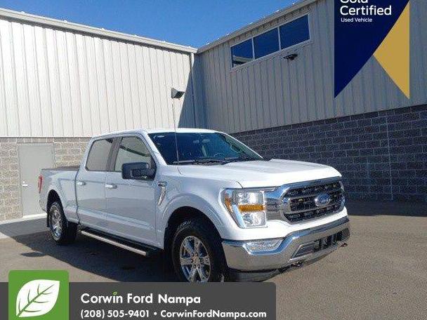 FORD F-150 2023 1FTFW1E85PKD83784 image