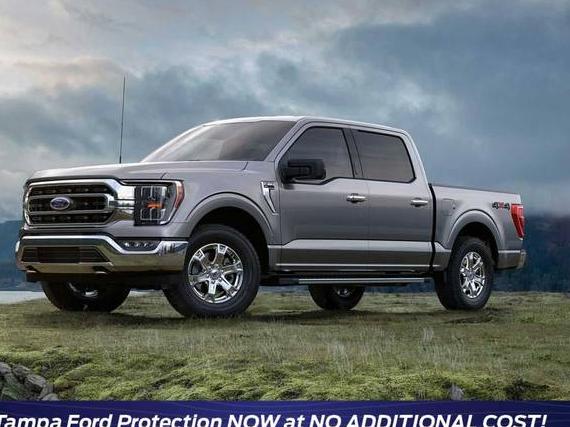 FORD F-150 2023 1FTEW1CP6PKD19744 image
