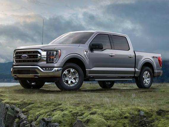 FORD F-150 2023 1FTEW1CP4PKD01775 image