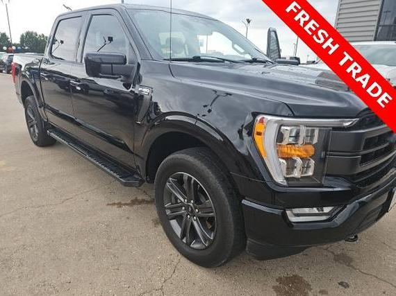 FORD F-150 2023 1FTFW1E85PKE37195 image