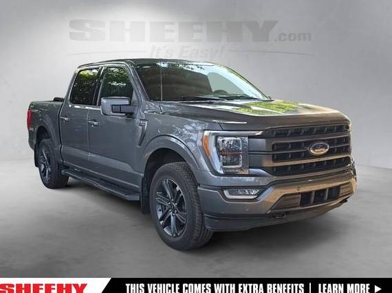 FORD F-150 2023 1FTEW1EP6PKF27796 image