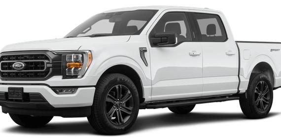 FORD F-150 2023 1FTEW1EP8PKD92255 image