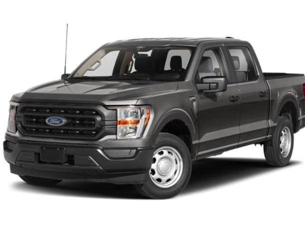 FORD F-150 2023 1FTEW1C52PKD23742 image