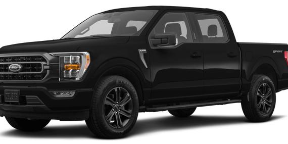 FORD F-150 2023 1FTEW1EP4PKE54024 image