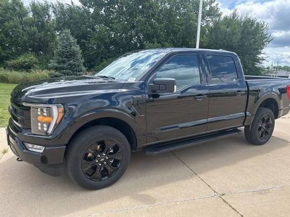FORD F-150 2023 1FTFW1E80PFA79108 image