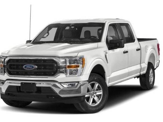 FORD F-150 2023 1FTEW1C83PKE57928 image