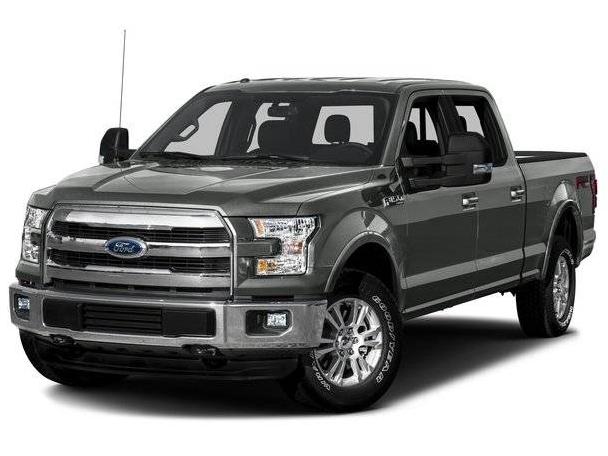 FORD F-150 2016 1FTEW1EG1GFB95081 image