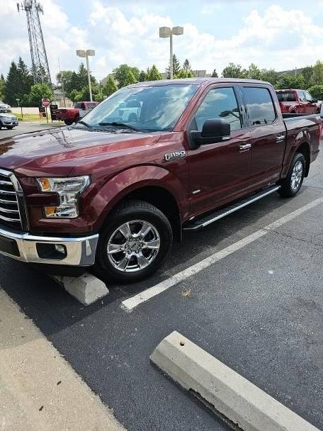FORD F-150 2016 1FTEW1CP4GKD27230 image