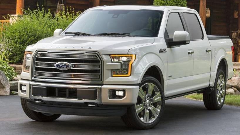 FORD F-150 2016 1FTEW1EF5GFA61942 image