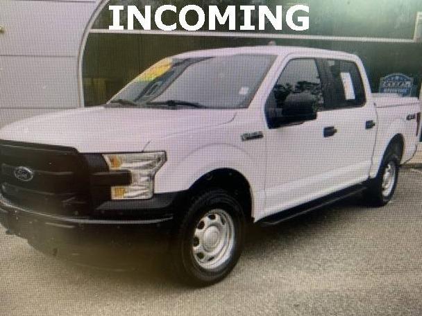 FORD F-150 2016 1FTEW1E83GFA31677 image