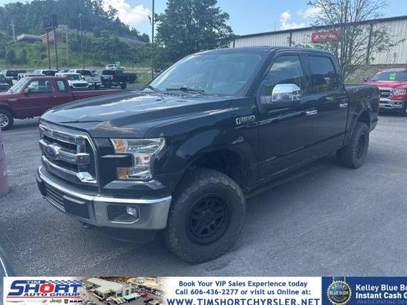 FORD F-150 2016 1FTEW1EF7GFA16565 image