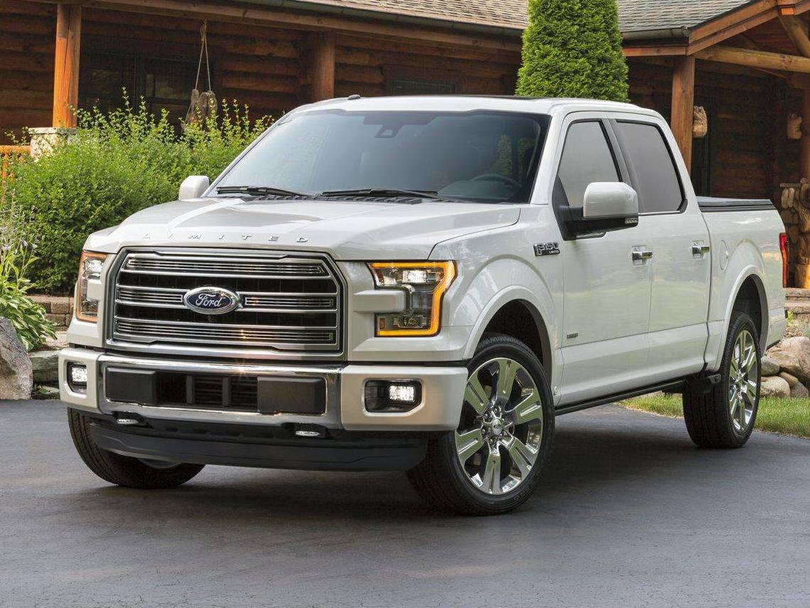 FORD F-150 2016 1FTEW1EG1GFD39289 image