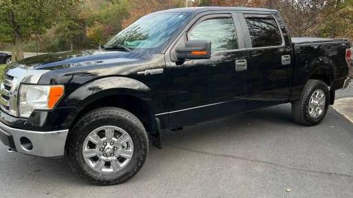 FORD F-150 2009 1FTPW14V69FA86997 image